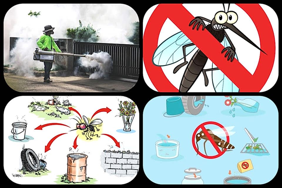 6 Easy Tips to Prevent Dengue Through Housekeeping. Clean bd