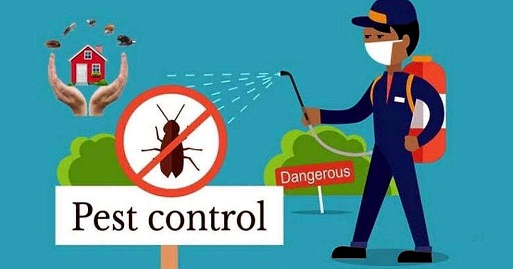 pest control service