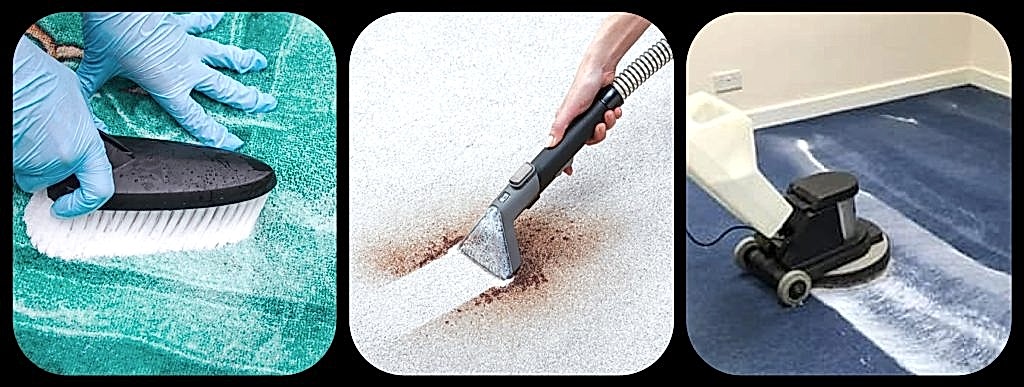 Carpet shampoo clean, carpet cleaning service