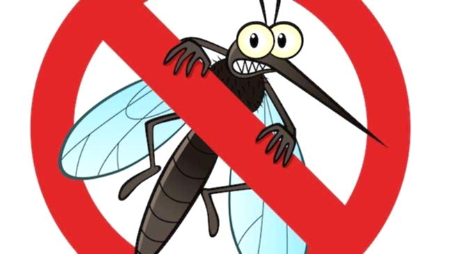 Dengue
housekeeping