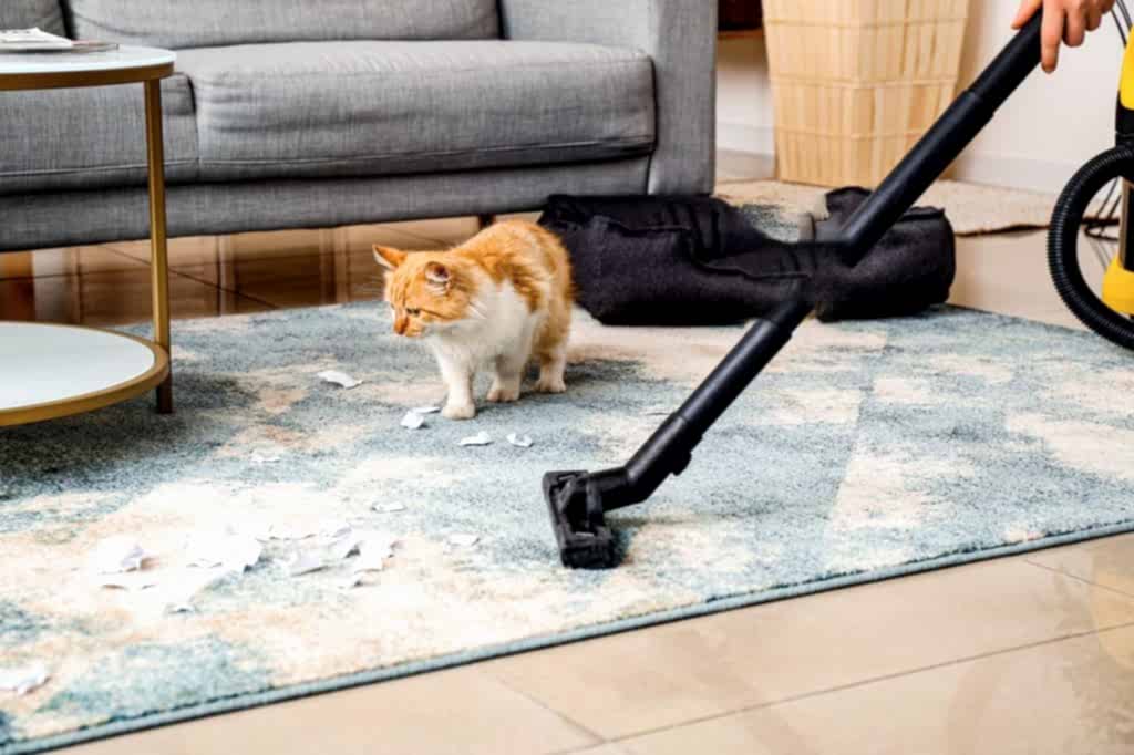deep cleaning service