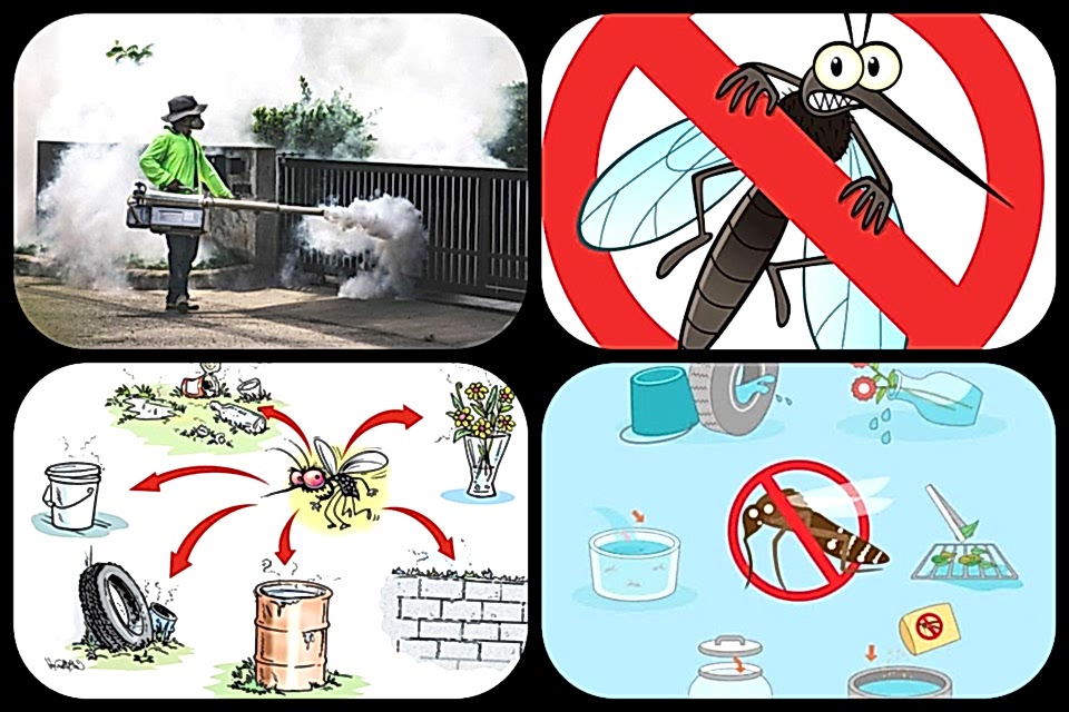 ডেঙ্গু Dengue