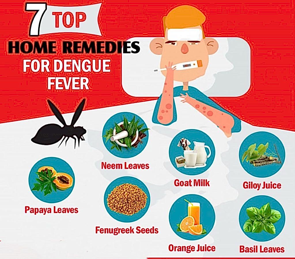 ডেঙ্গু Dengue